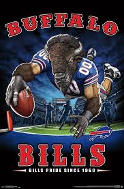 They compete in the nation. Nfl Buffalo Bills End Zone 17