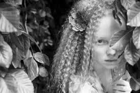 The 2018 Maine Photography Show will blow you away