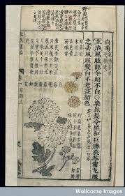 pin on chinese herbal medicine