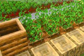 The implementation of shaders mod to improve your. Shaders Minecraft 1 17 11 Skywars Greece Minecraft Map Best Shaders Texture Packs For Ios Android Windows 10