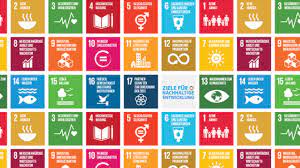 They are indivisible and are mutually dependent. Sdgs Die Erste Globale Entwicklungsagenda Germanwatch E V