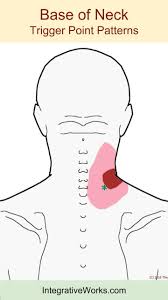 Pin On Biodynamic Massage