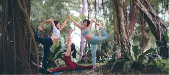 We did not find results for: Top Yoga Teacher Trainings In Ottawa East West