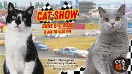 CAT SHOW