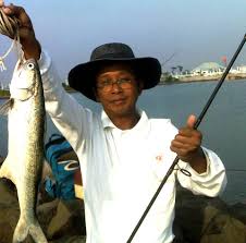 Selain itu, joran selalu dipegang oleh tangan pemancing sehingga ketika umpan dipasang ditarik oleh ikan maka oleh pemancing joran tersebut dapat tertarik ke atas dan ikan pun akan terangkat ke atas. Cara Mancing Ikan Kakap Merah