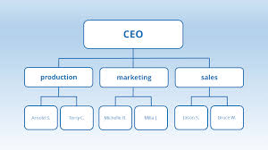 Organizational Structures An Explanation Ionos