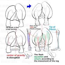 Legs Crouch Pose Anatomy Anatomy Tutorial Drawing Reference Poses Female Anatomy Reference