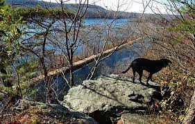 The park encompasses historic civil war ruins of national significance, mature upland forests and views of the potomac valley not equaled elsewhere in montgomery county. 06 Blockhouse Point Dc Great Outdoors