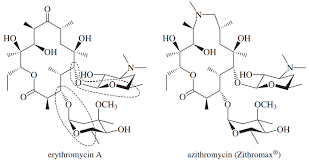 Image result for Macrolide