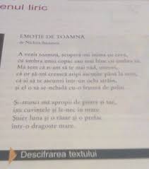 Eu mă înec în lumine şi scrâşnesc în crugul anului. 2 Figuri De Stil Din Poezia Emotie De Toamna De Nichita Stanescu Brainly Ro