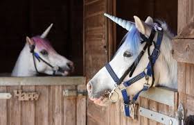 Up to 70% off top brands & styles. Unicorn Land The First Real Life Unicorn Tour Is Coming To Liverpool