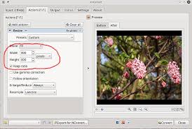 Scale Image To Specific File Size