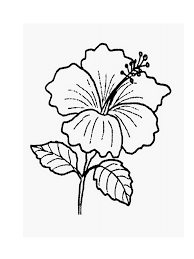 Malaysian folklore is the folk culture of malaysia and other indigenous people of the malay archipelago as expressed in its oral traditions, written manuscripts and local wisdoms. Bunga Raya Psv