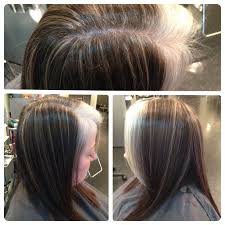 Stacistylist Com Hair Highlights Gray Hair Growing Out Grey Hair Transformation