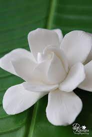 Pin On Flower Porn