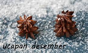 Semoga bisa bertumbuh menjadi anak yang sehat, bijaksana, serta bisa menjadi anak. Kata Kata Bulan Kelahiran Desember