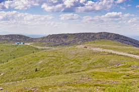Get the latest american and canadian news from bbc news in the us and canada: Alaska Usa Kanada Granica Na Wierzcholku Swiatowa Autostrada Obraz Stock Obraz Zlozonej Z Endless Granica 89418179