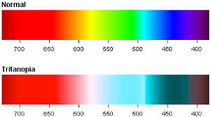 We did not find results for: Tritanopia Blue Yellow Color Blindness Colblindor