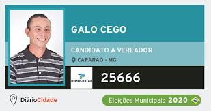 We did not find results for: Galo Cego