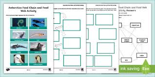 Whether you're trying to lower your cholesterol or you're trying to prevent it from rising, there are certain foods that you can eat that will help move the process along. Food Web Diagram Antarctica Food Chain Twinkl