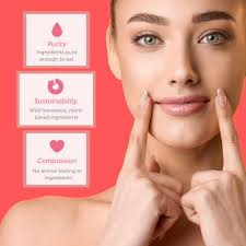 Amazon.com : Ellovi Natural Lip Butter Lip Balm