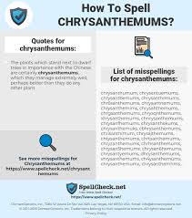 Most species originate from east asia and the center of diversity is in china. How To Spell Chrysanthemums And How To Misspell It Too Spellcheck Net