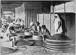 Indian migration and indentured labour ...