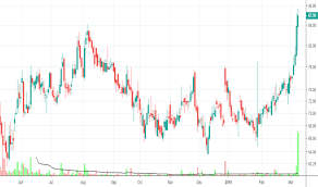 Lemontree Stock Price And Chart Nse Lemontree