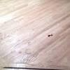 There is a company that microscreens with a liquid (so there is no dust)then applies 4 coats of polyacrlic and you can walk on the floors the same day. 1