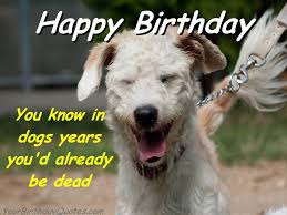 My husband and i used to celebrate with a short trip, but not anymore. Quotes About Dogs Birthday 22 Quotes