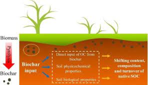 Biochar S Stability And Effect On The Content Composition And Turnover Of Soil Organic Carbon Sciencedirect