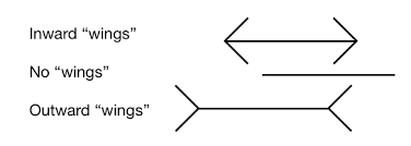 When viewers are asked to place a mark on the figure at the midpoint, they tend to place it more towards the tail end. Coglab Muller Lyer Illusion
