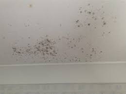 Easy How To Stop Condensation Get Rid Of Black Mold And Clean Mould Youtube Mold Remover Mold On Bathroom Ceiling Mold In Bathroom