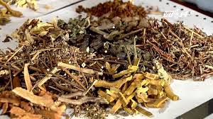 Những điều cần biết trước khi chọn dùng thuốc nam | PGR Việt Nam - Kiến  thức thực vật và dược liệu