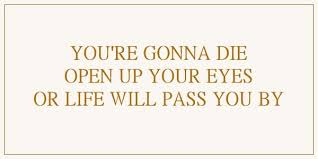 Cage The Elephant Cold Cold Cold Cage The Elephant Cry Baby Cage The Elephant Words Elephant