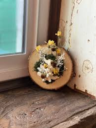 Meet Mandy Boyles: Oddities Artist