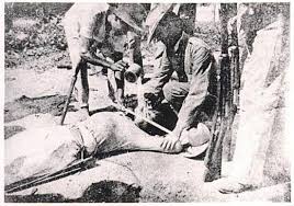 O GENOCÍDIO ESQUECIDO: OS ESTADOS UNIDOS IMPÕE SEU CONTROLE SOBRE AS  FILIPINAS (1899-1913)