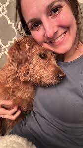 The Clinton County Sheriff said the dogs are recovering and soon will soon  be ready to go to new homes.