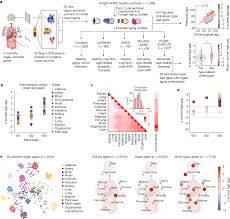 Blood Plasma Components And Function