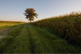 Americans eat more meat than anyone else on the planet. 57 Belgian Landscapes Scenery Ideas Landscape Scenery Scenery Nature