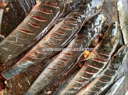 We did not find results for: Ikan Keli Salai Masak Lemak Cili Api Suria Amanda