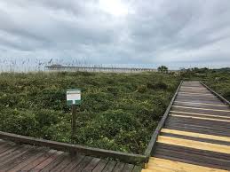 Myrtle Beach State Park 2019 All You Need To Know Before