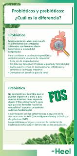 Cual Es La Diferencia Entre Probioticos Y Prebioticos