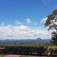 Live Music @ Mountain View Cafe Maleny event image