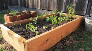 Benefits of raised garden beds Build Your Own Raised Planting Beds Youtube
