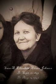Sarah Elizabeth Adams Johnson (1859-1949)