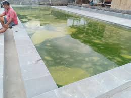 Bahan yang bisa digunakan sebagai rangka kolam terpal adalah seperti bambu, besi, baja ringan, ataupun batu bata. Penyebab Dan Cara Mengatasi Air Kolam Renang Berkabut
