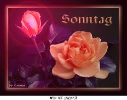 Kyriakē hēmera „tag des herrn jesus christus) ist heute im bürgerlichen kalender des deutschsprachigen raums und dem großteil der welt der. Schonen Sonntag Gif Kostenlos Bilder Und Spruche Fur Whatsapp Und Facebook Kostenlos
