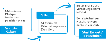 Verdauung Bei Babys Die Besten Tipps Fur Eltern Hipp
