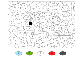 Op deze pagina vind je allemaal kleurplaten die iets met de zomer te maken hebben. Kleuren Op Nummer Zomer Tijd Met Kinderen